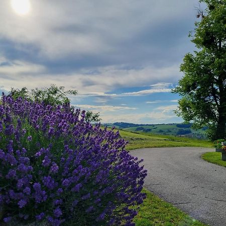 Unterbrandlberg Apartment Steinbach an der Steyr Екстериор снимка