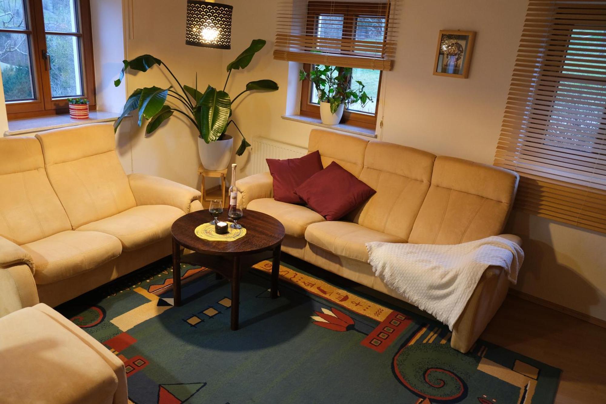 Unterbrandlberg Apartment Steinbach an der Steyr Екстериор снимка